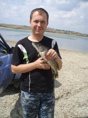 Прикрепленное изображение: P9044065.JPG